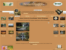 Tablet Screenshot of forestwander.com